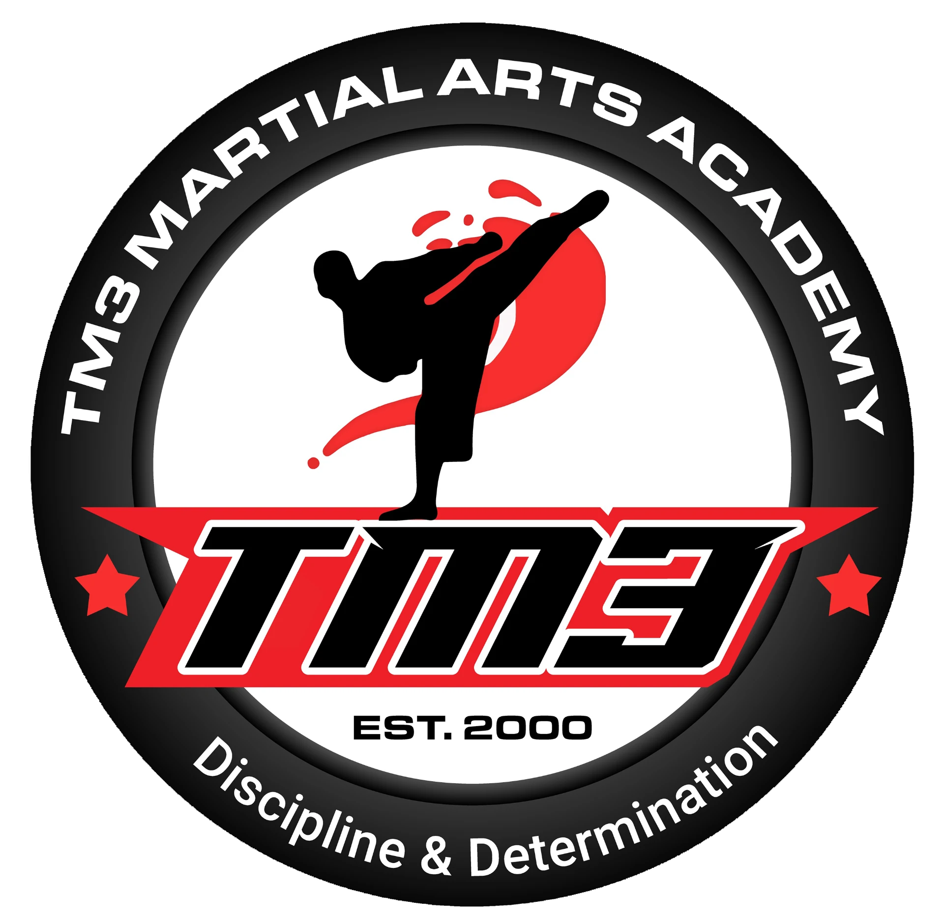 TM3 Martial Arts Academy, Ethiopian Day main stage performer